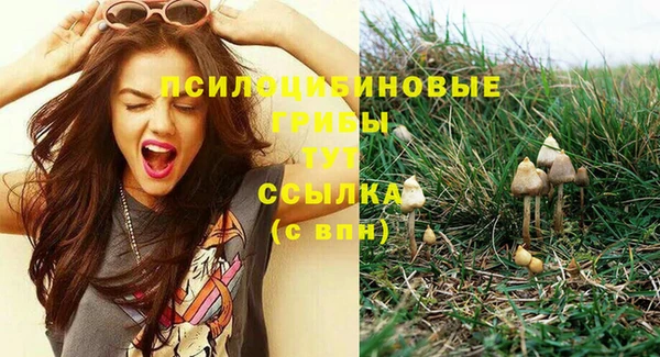 а пвп мука Алексеевка