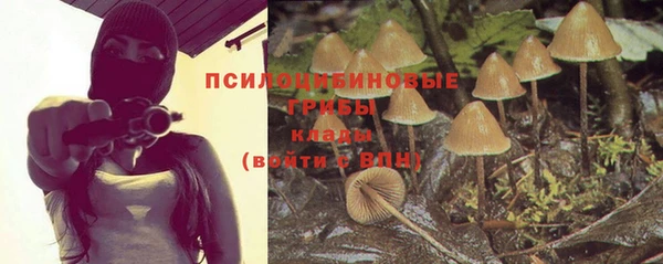 а пвп мука Алексеевка